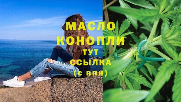 шишки Долгопрудный