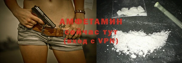 2c-b Ельня