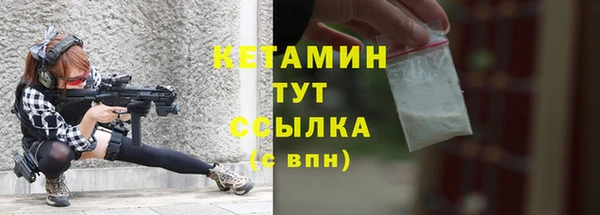сатива Ачинск