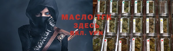 2c-b Ельня