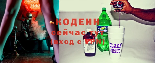 2c-b Ельня