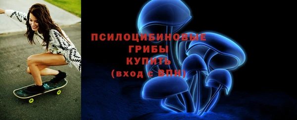 2c-b Ельня