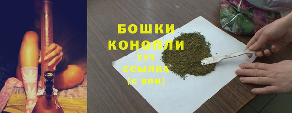 2c-b Ельня