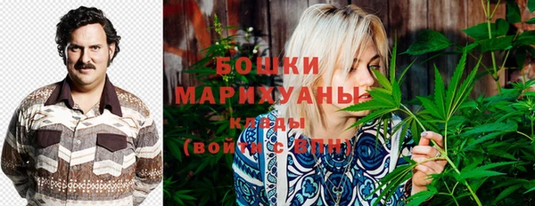2c-b Ельня