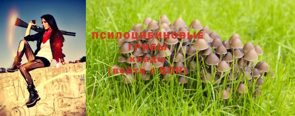 прущие крисы Елизово