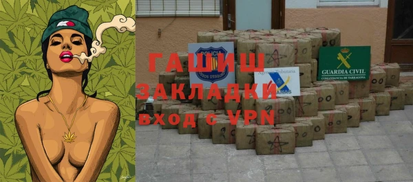 2c-b Ельня