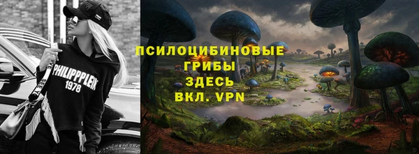 прущая мука Елабуга
