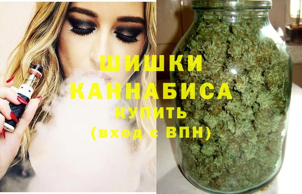 прущие крисы Елизово