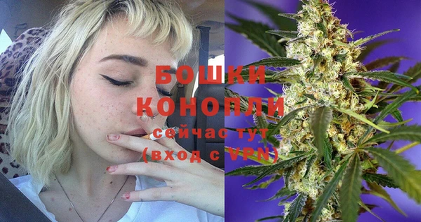 прущие крисы Елизово