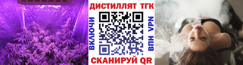 купить наркотик  Заводоуковск  Дистиллят ТГК THC oil 