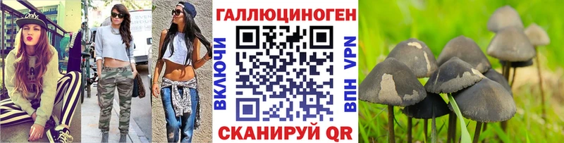 где купить наркоту  Заводоуковск  Псилоцибиновые грибы мухоморы 