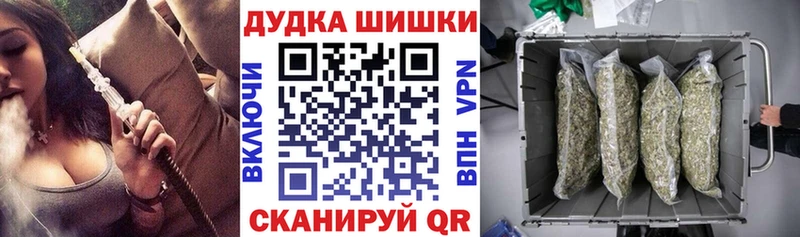 Бошки марихуана Amnesia  Заводоуковск 